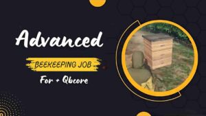 Explore the advanced beekeeping job in QBcore. Learn setup, features, benefits, and troubleshooting to enhance your role-playing server.